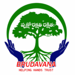 brundavana.org